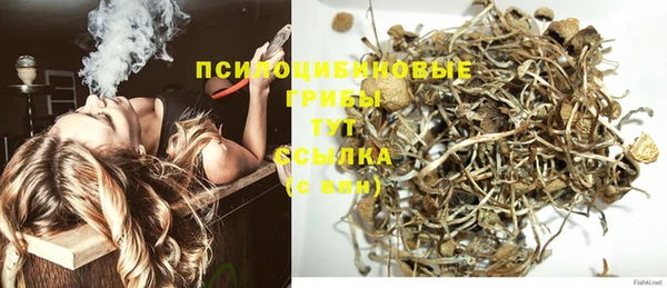 винт Баксан