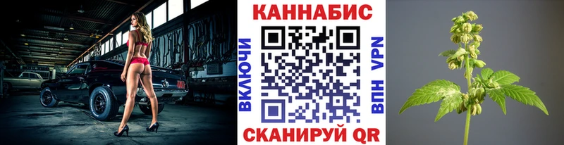 наркошоп  Беломорск  Шишки марихуана OG Kush 